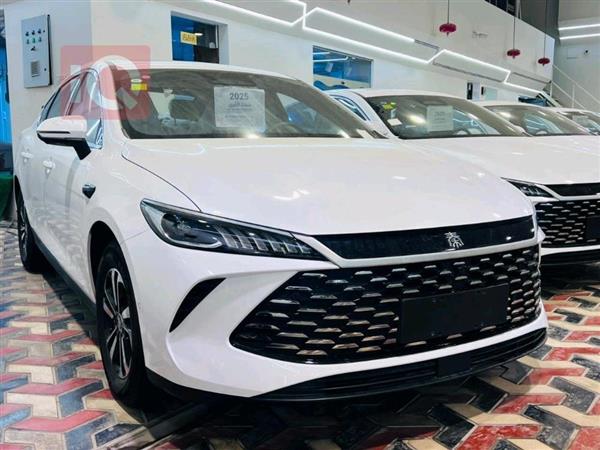 بي واي دي Qin Plus 2025 للبيع في العراق - النجف